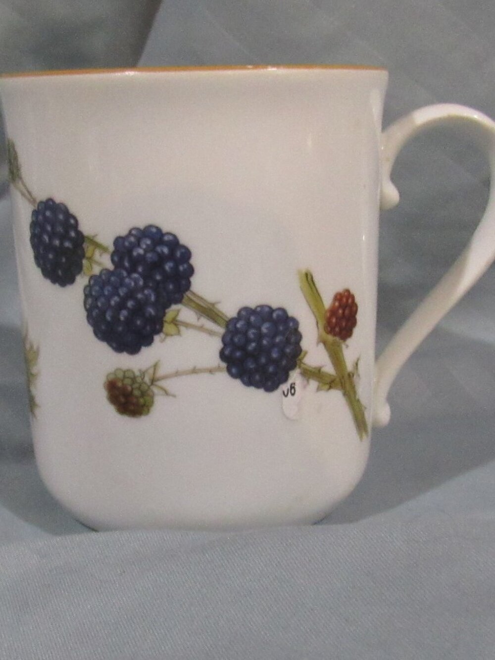 Royal Worcester Wild Harvest, Mustard Trim, Coffee / Tea Mug        L633